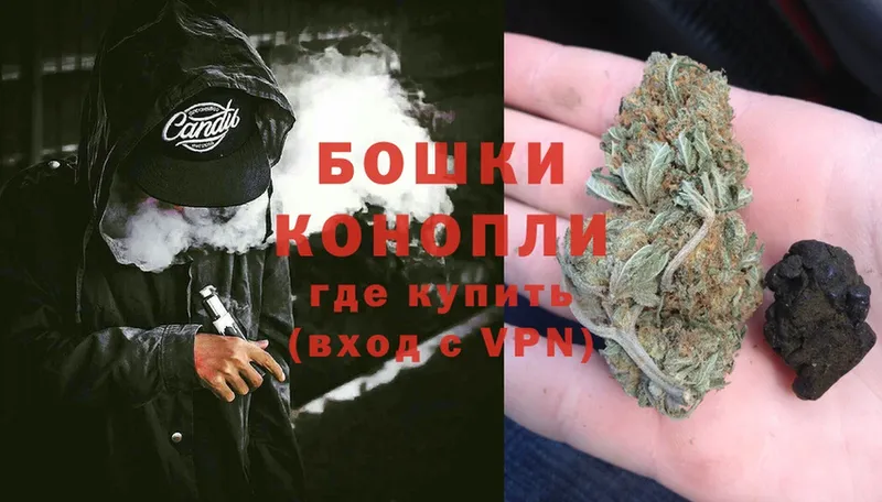 Конопля гибрид  Жирновск 